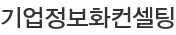 기업정보화컨셀팅